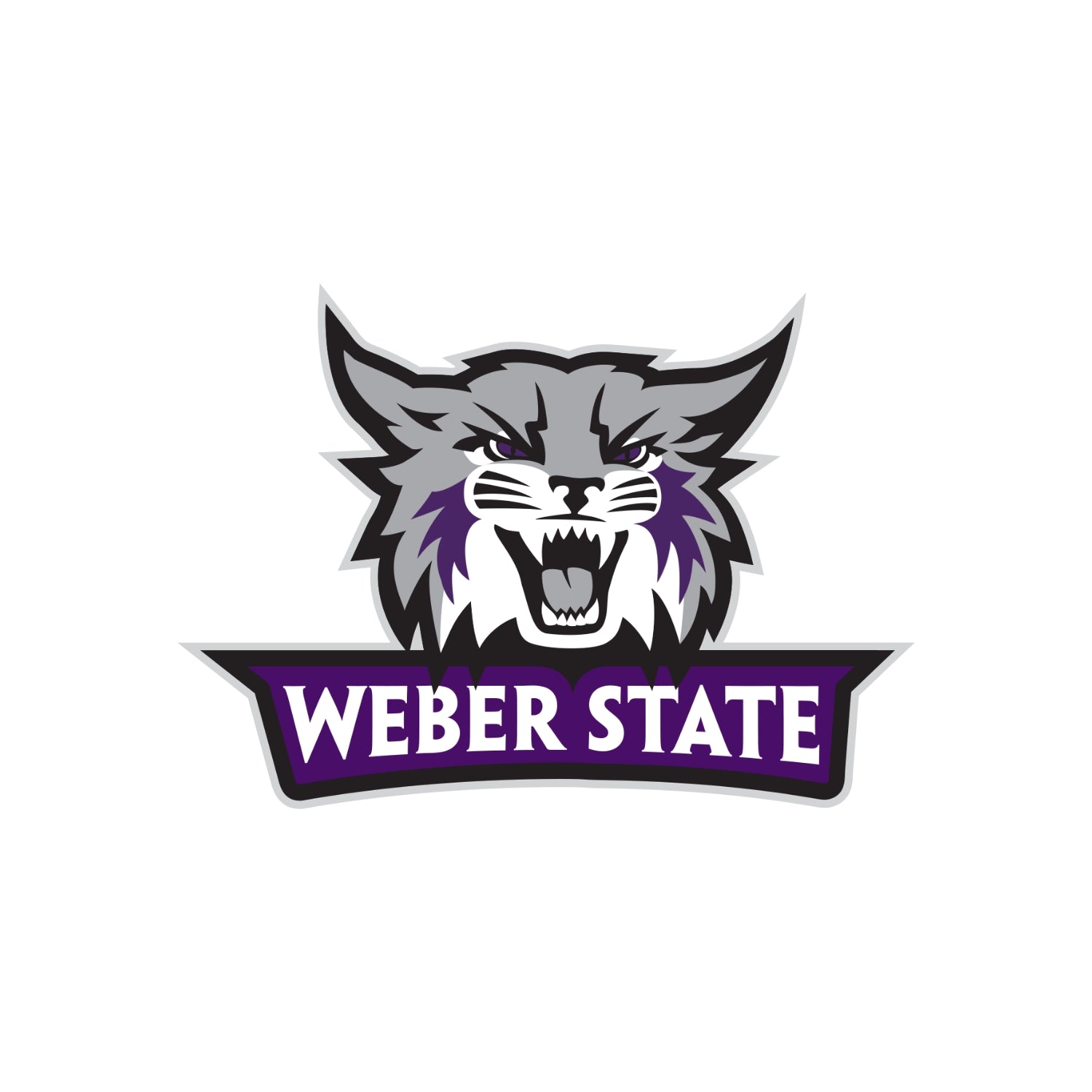 Weber State Cheer