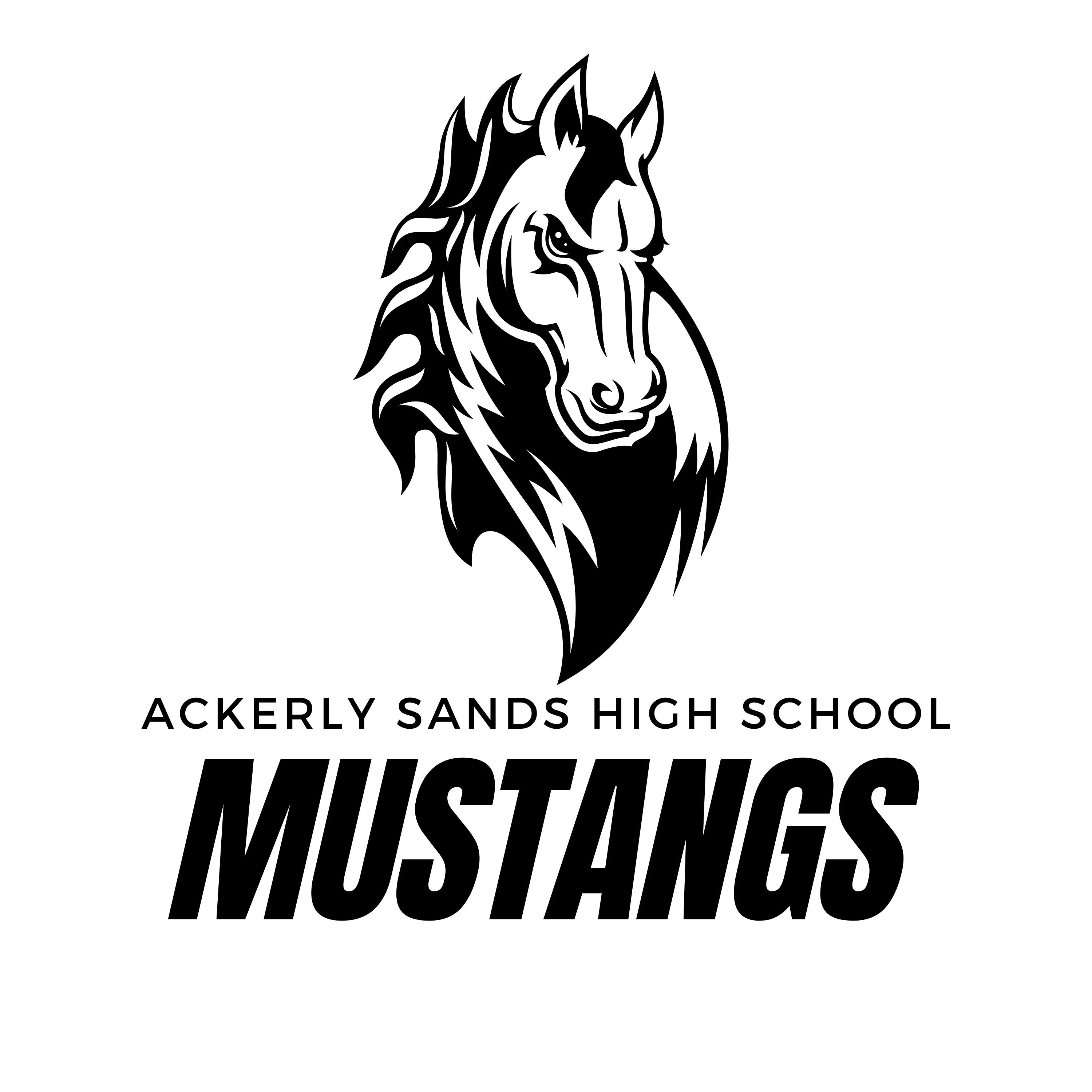 Ackerly Sands High School – Southern Recognition, Inc.