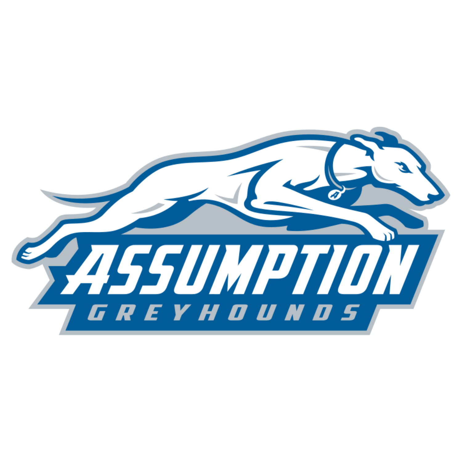 Assumption University Greyhounds