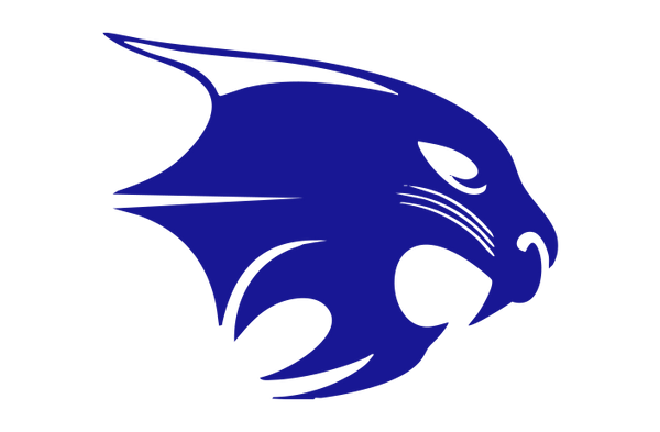 Byron Nelson High School