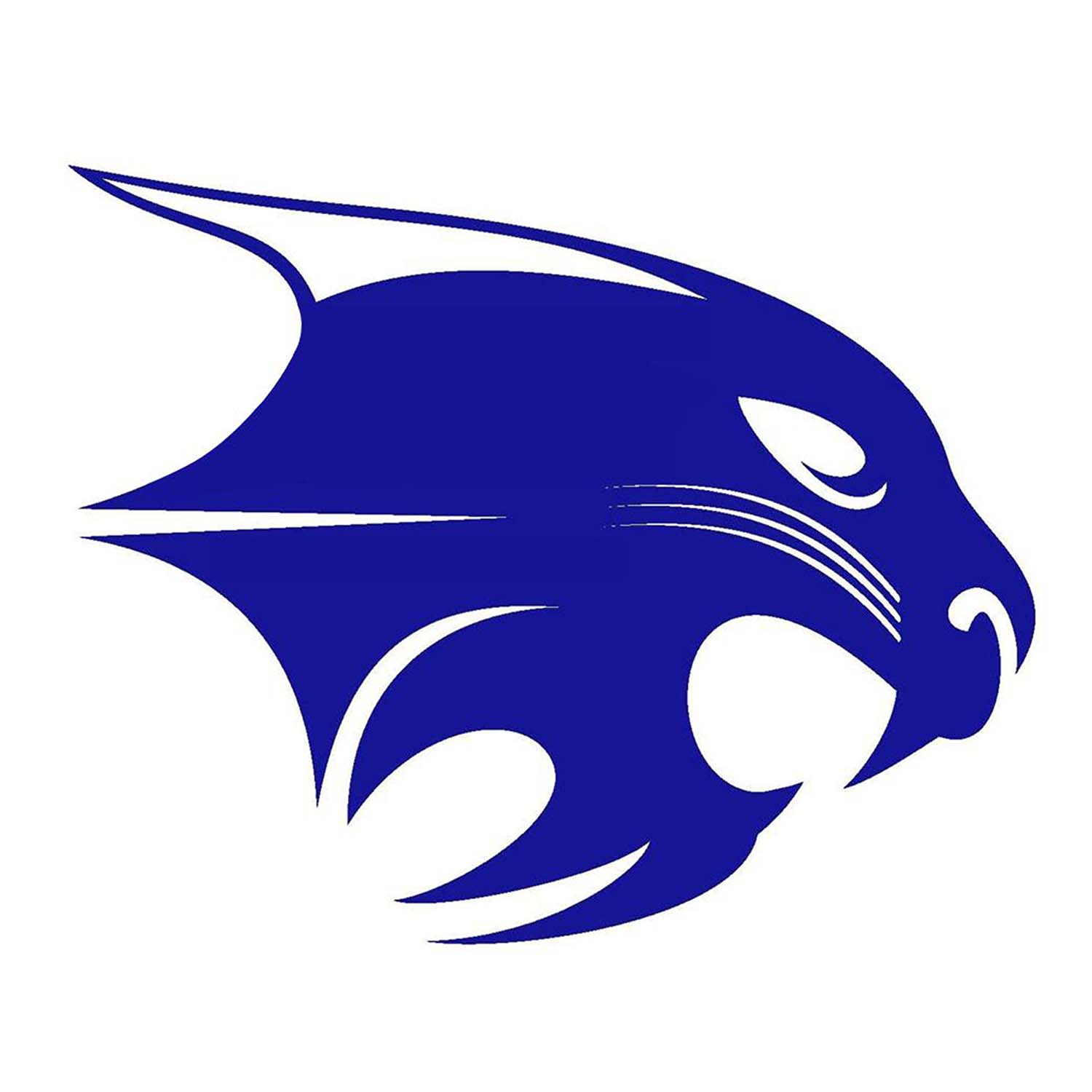Byron Nelson High School