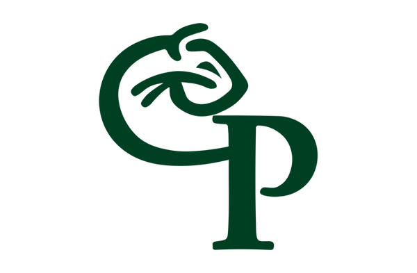 Comstock High School