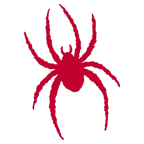 University of Richmond