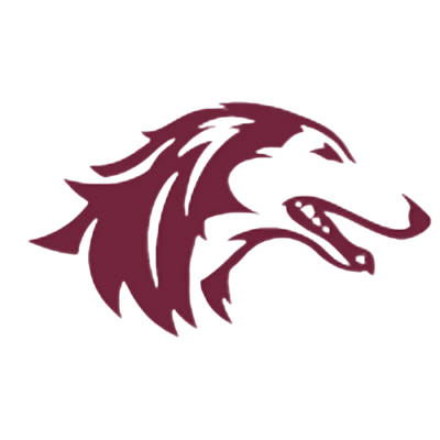 Southern Illinois University