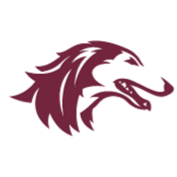 Southern Illinois University