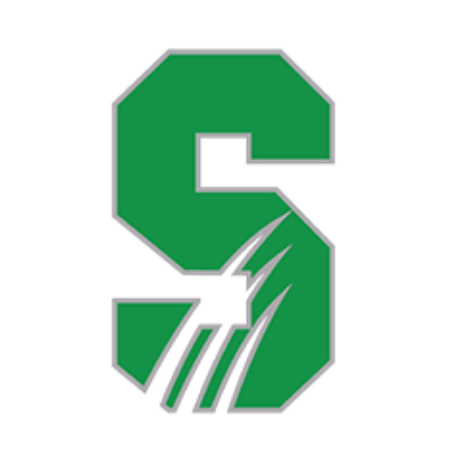 Salem University