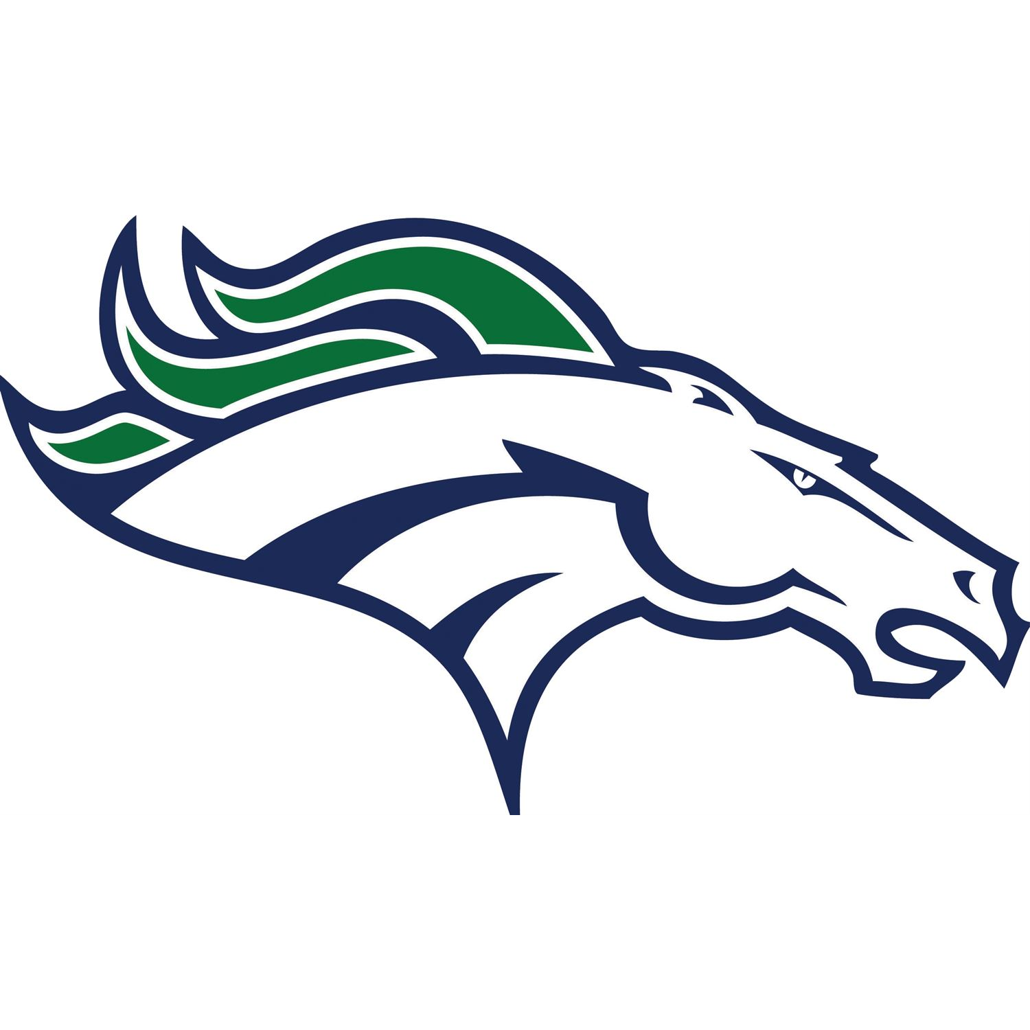 South County High School