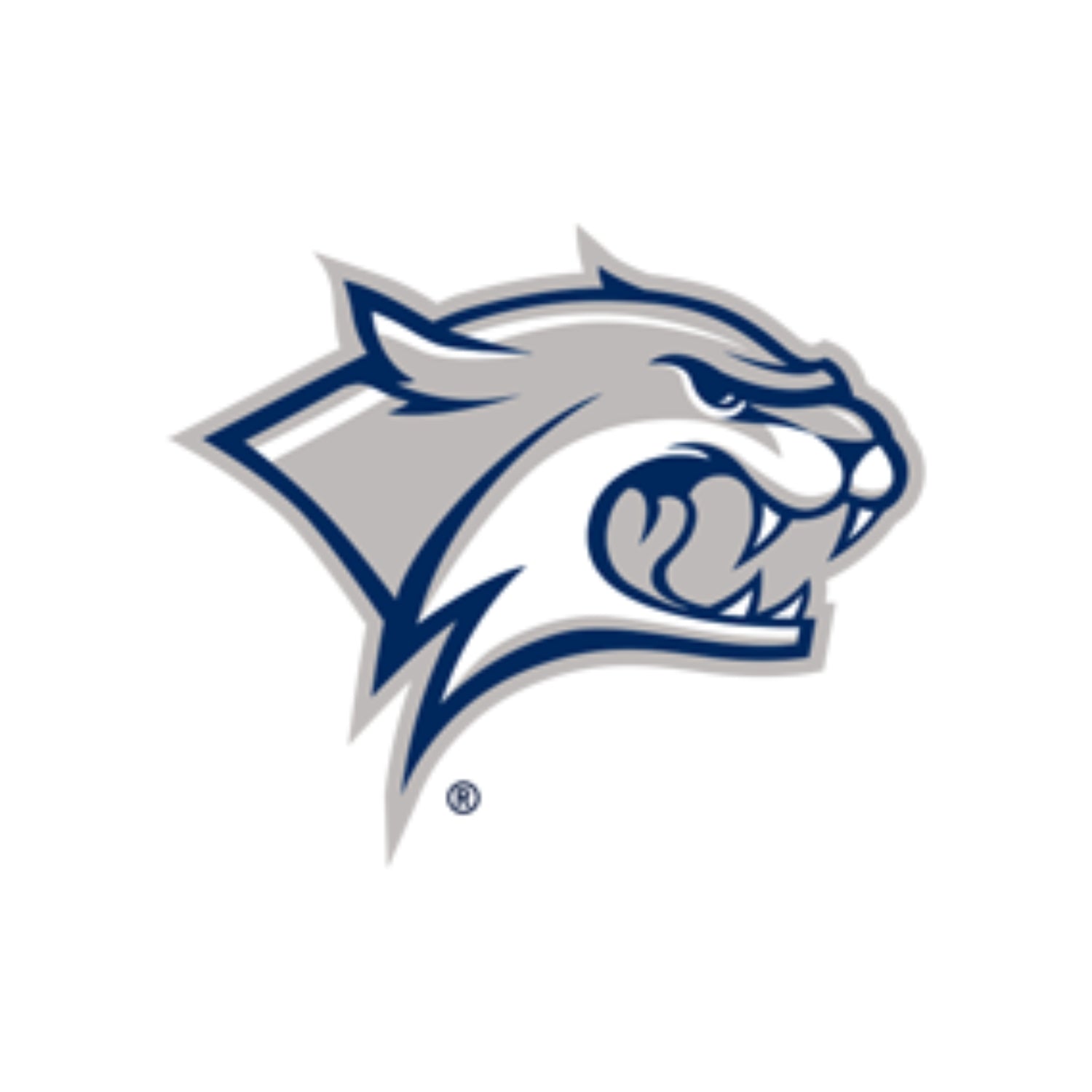 University of New Hampshire