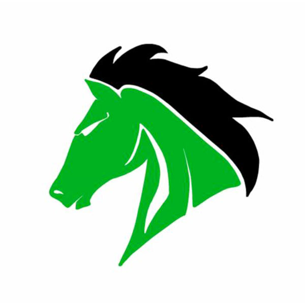 West Stanly High School