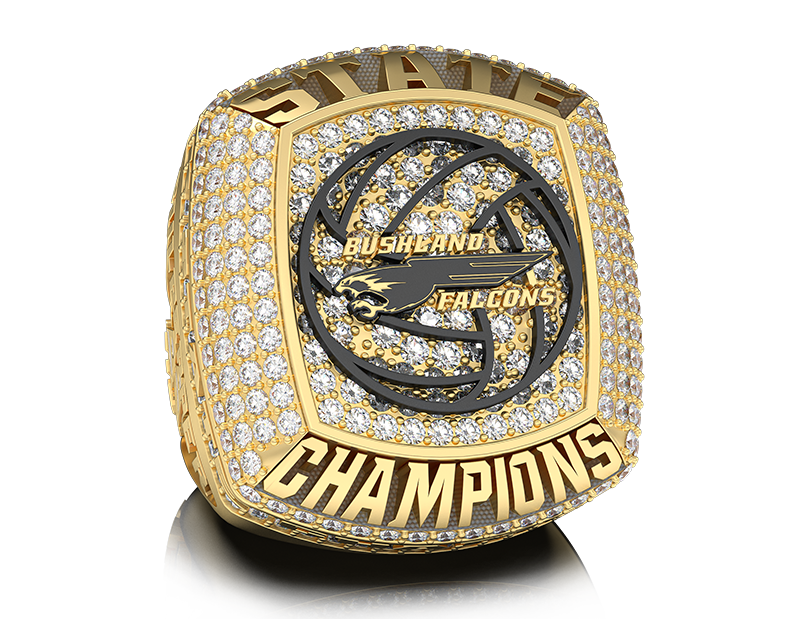 Bushland High School