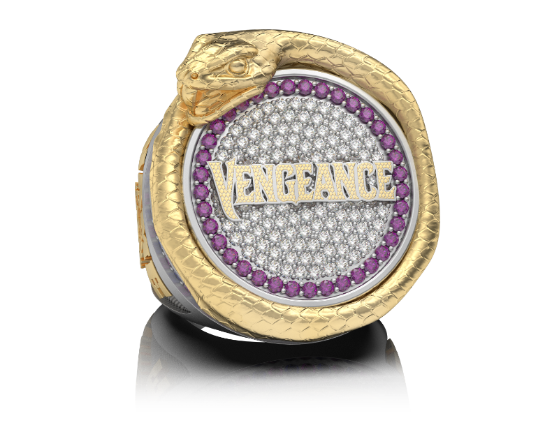 Aspire Cheer Academy Vengence