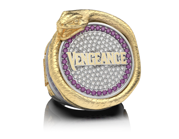 Aspire Cheer Academy Vengence