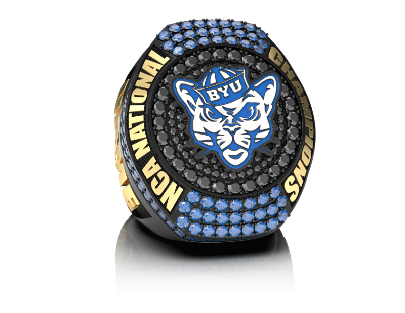 Brigham Young University 