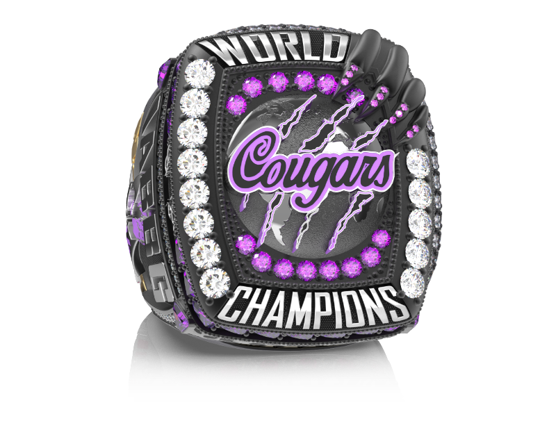 Cheer Extreme Cougars