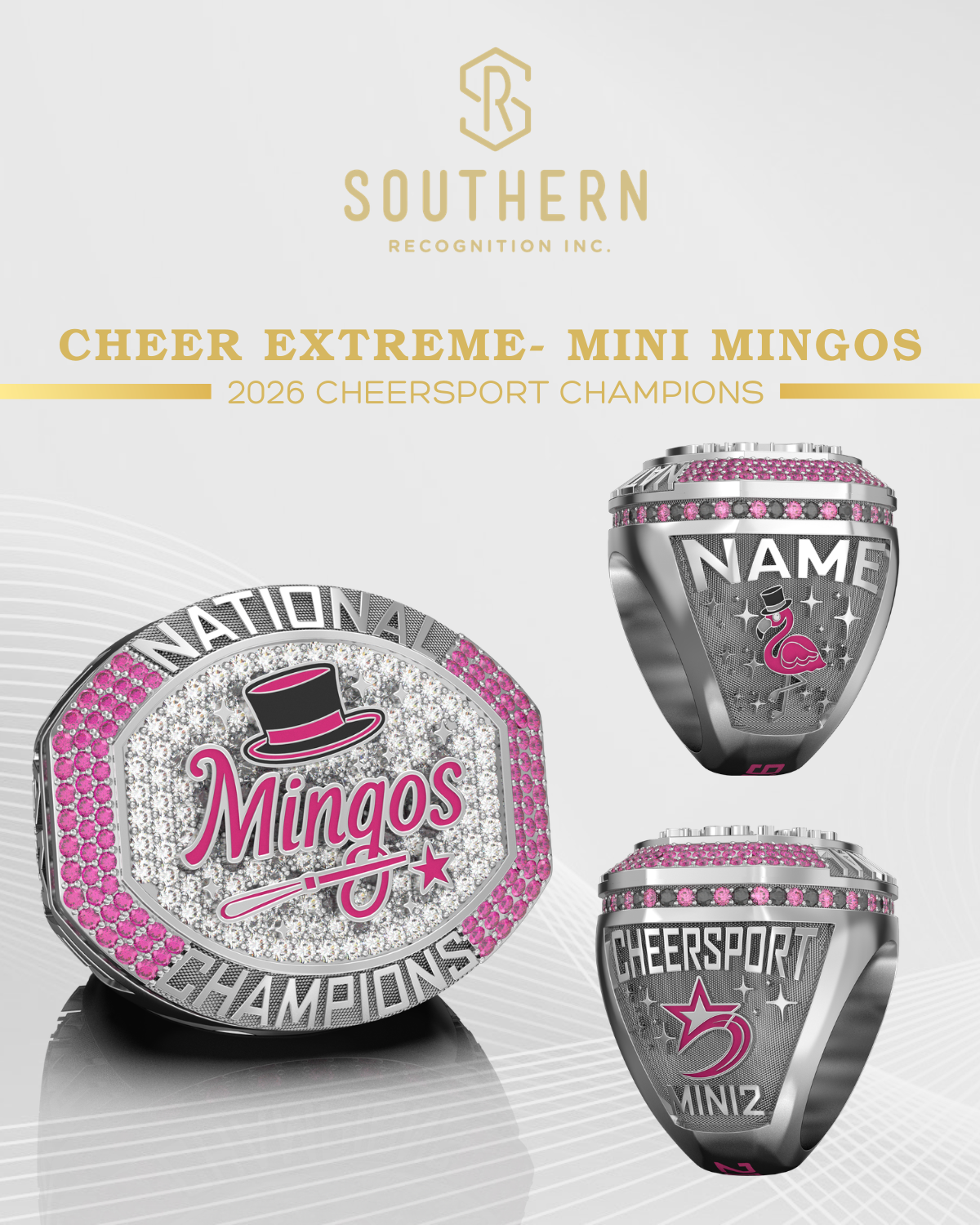 Cheer Extreme Raleigh- Mini Mingos Cheersport 2026