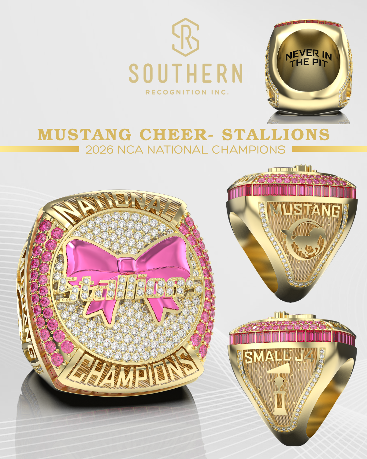 Mustang Cheer - Stallions 2026 NCA Championship