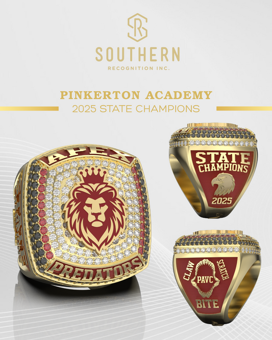 Pinkerton Academy Cheer- 2025 State Champions