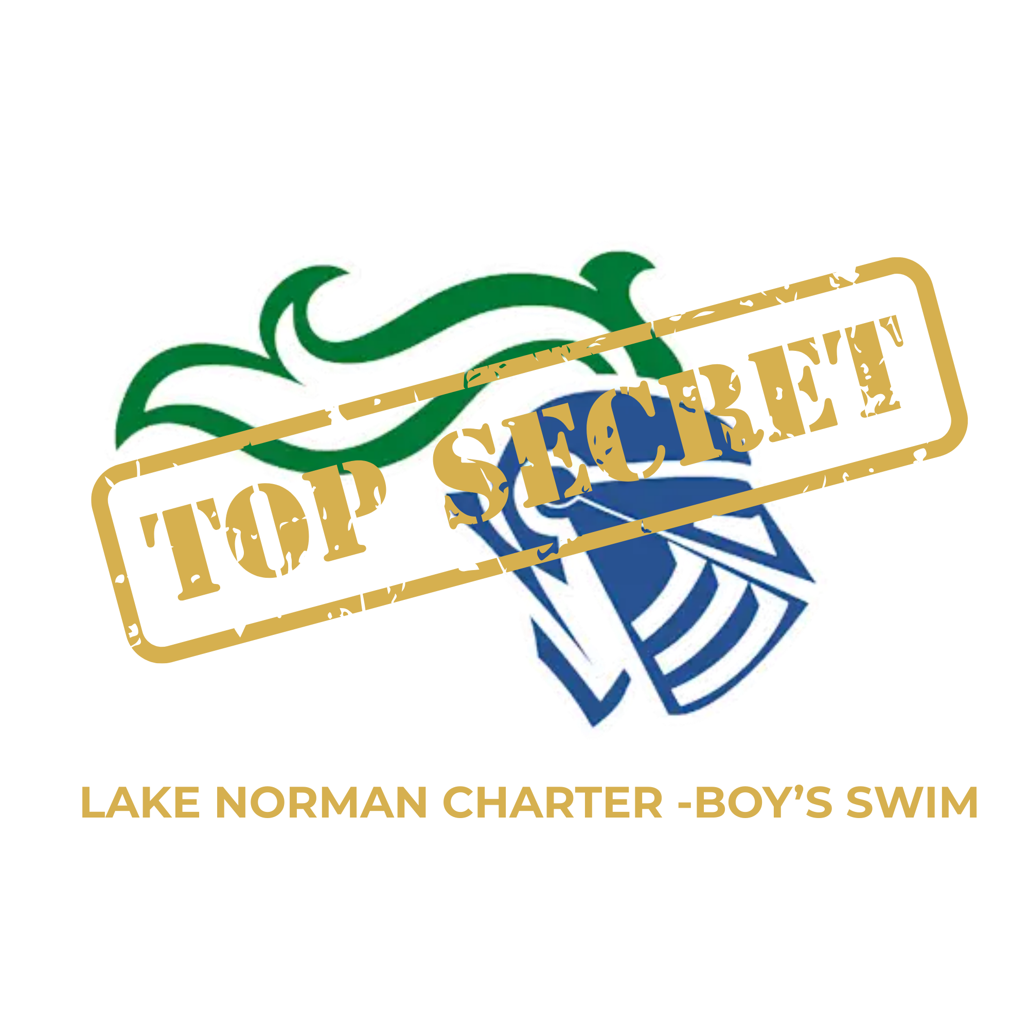 Lake Norman Charter Boy's 2026 Swimming State Champions