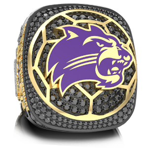 Western Carolina University