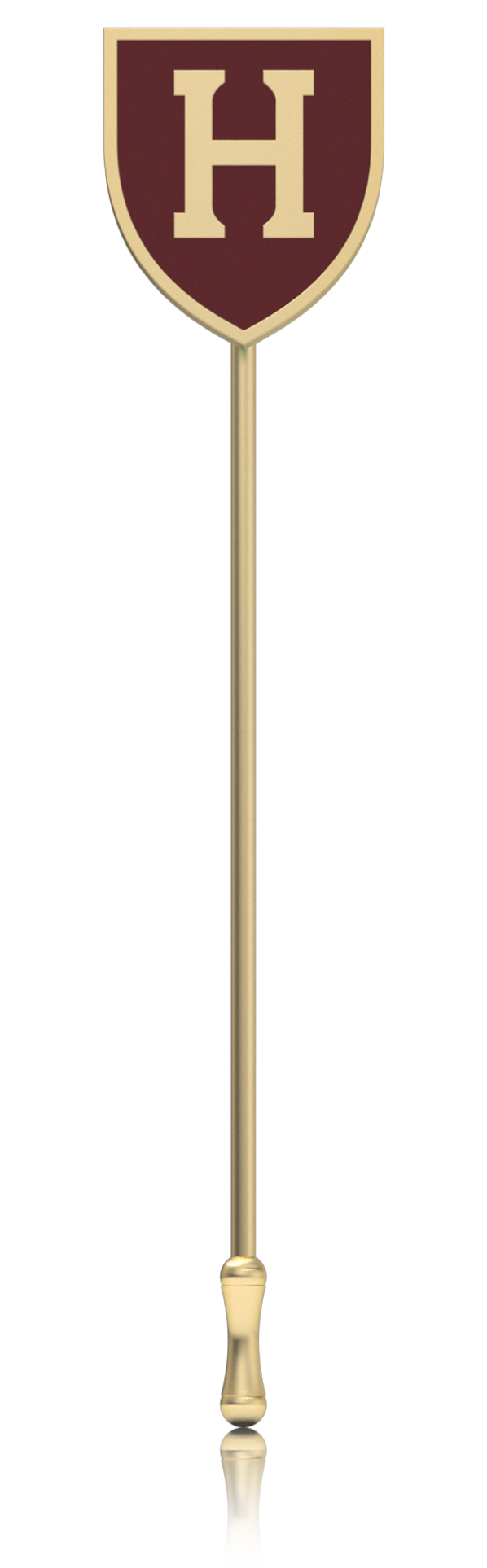 North Carolina A&T Aggies ring