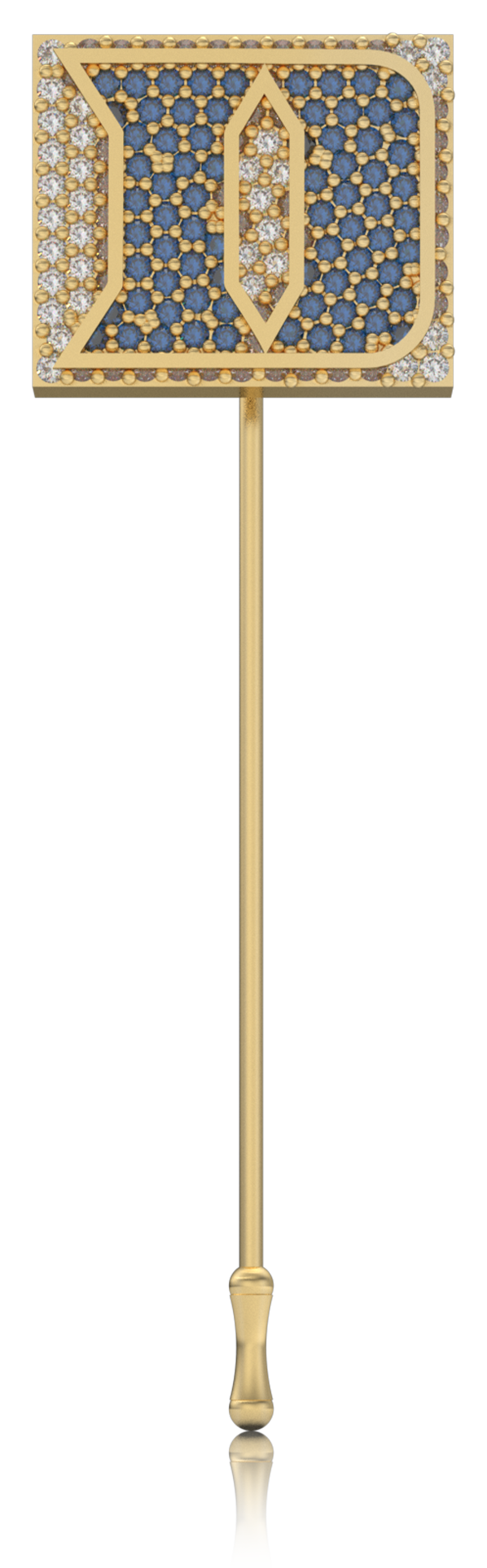 College of Charleston ring