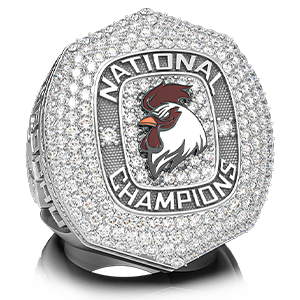 University of South Carolina